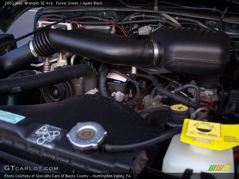 Forest Green / Agate Black 2001 Jeep Wrangler SE 4x4