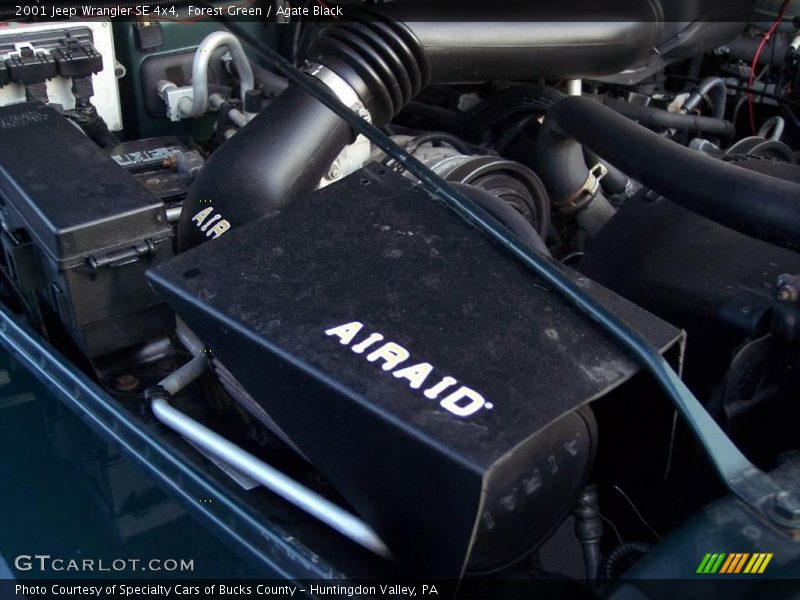 Forest Green / Agate Black 2001 Jeep Wrangler SE 4x4