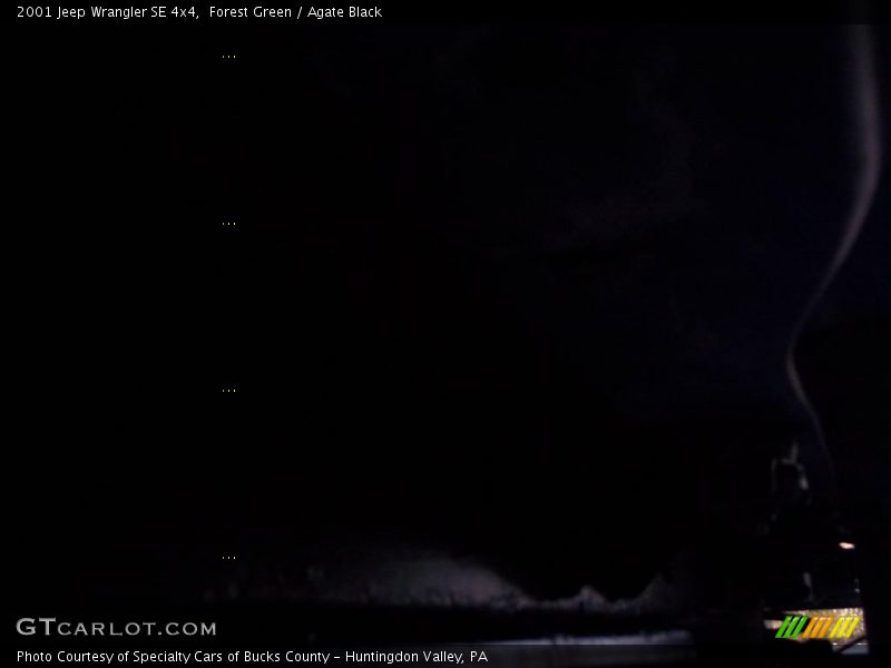 Forest Green / Agate Black 2001 Jeep Wrangler SE 4x4
