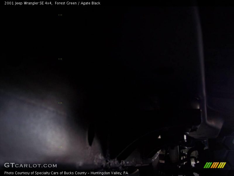 Forest Green / Agate Black 2001 Jeep Wrangler SE 4x4