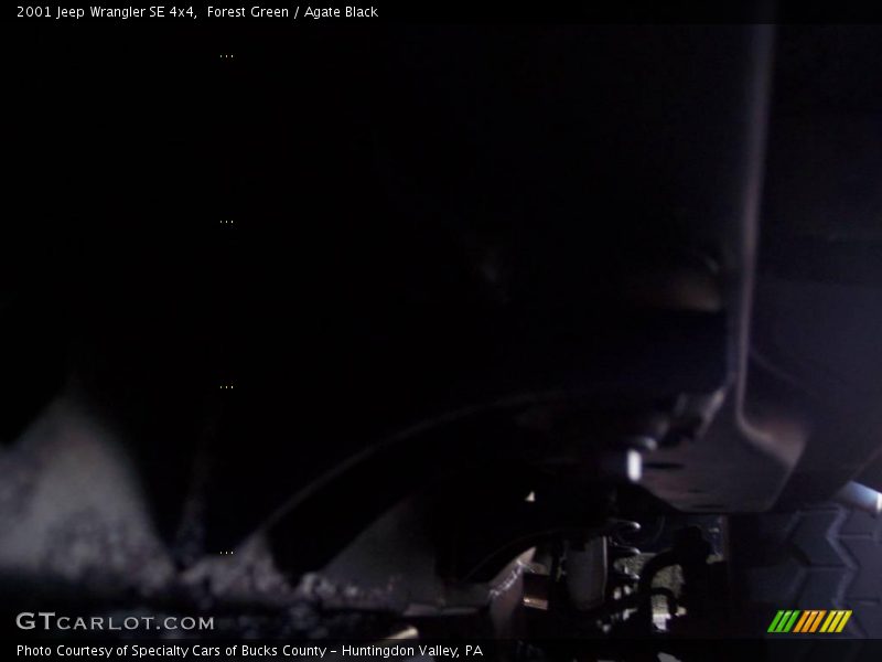 Forest Green / Agate Black 2001 Jeep Wrangler SE 4x4
