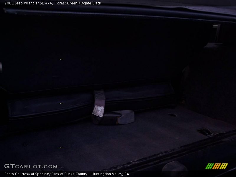 Forest Green / Agate Black 2001 Jeep Wrangler SE 4x4