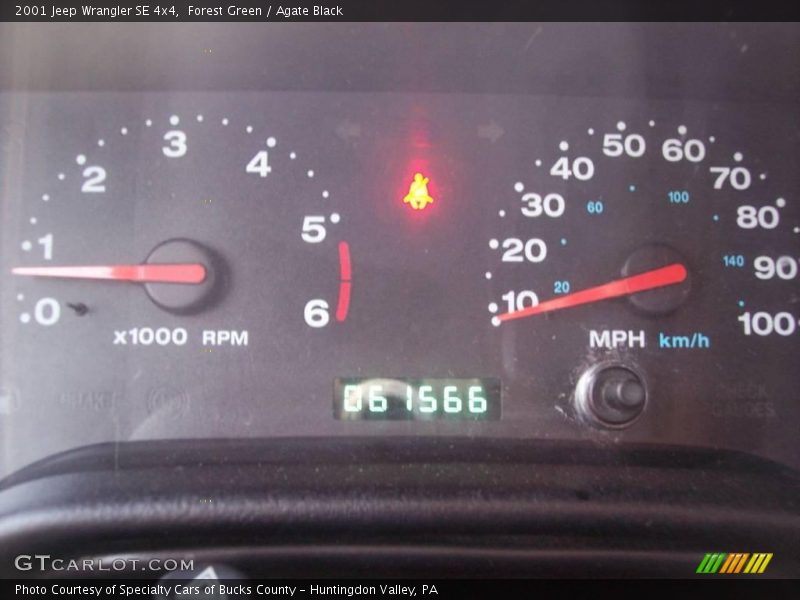 Forest Green / Agate Black 2001 Jeep Wrangler SE 4x4