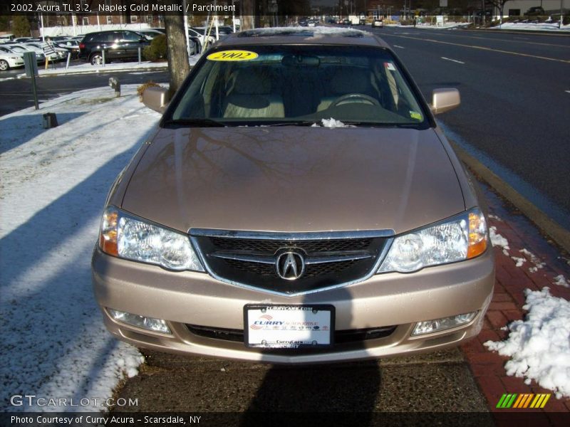 Naples Gold Metallic / Parchment 2002 Acura TL 3.2
