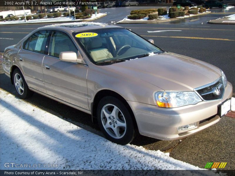 Naples Gold Metallic / Parchment 2002 Acura TL 3.2
