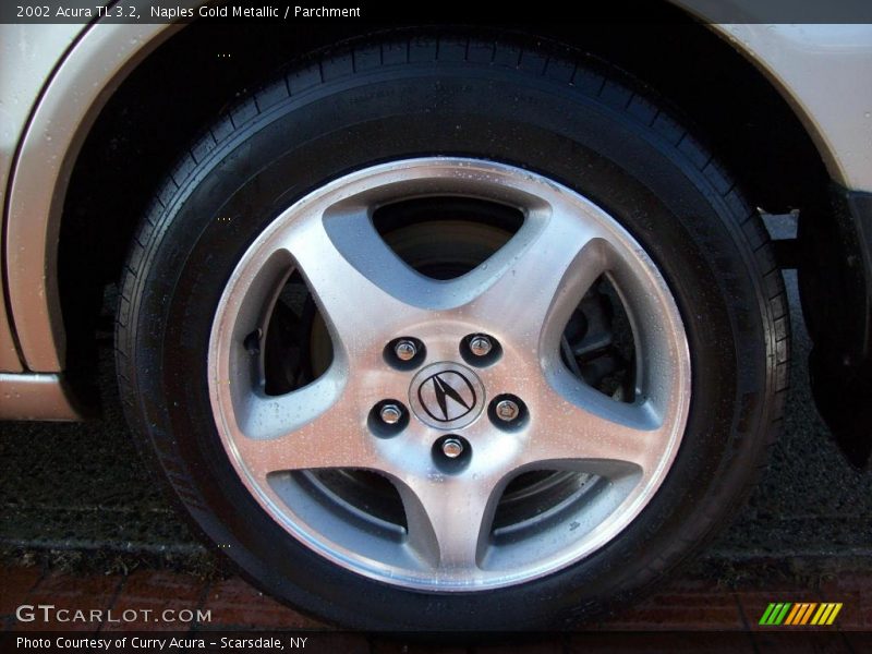 Naples Gold Metallic / Parchment 2002 Acura TL 3.2