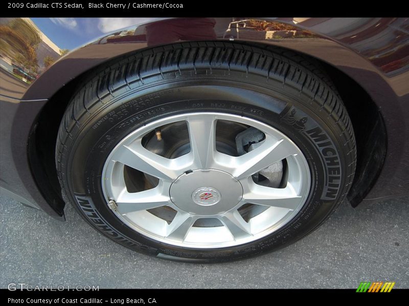 Black Cherry / Cashmere/Cocoa 2009 Cadillac CTS Sedan