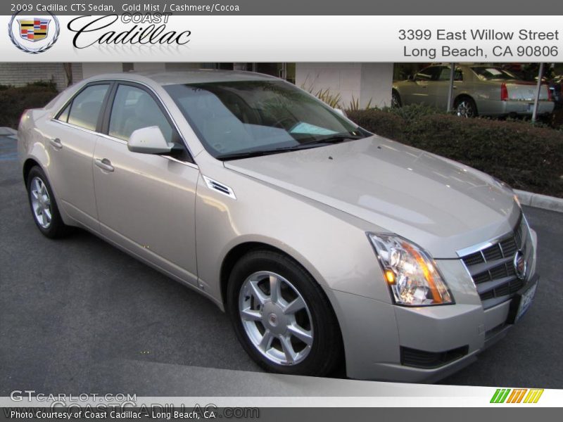 Gold Mist / Cashmere/Cocoa 2009 Cadillac CTS Sedan