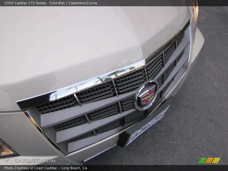 Gold Mist / Cashmere/Cocoa 2009 Cadillac CTS Sedan