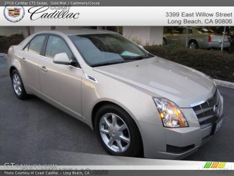 Gold Mist / Cashmere/Cocoa 2009 Cadillac CTS Sedan
