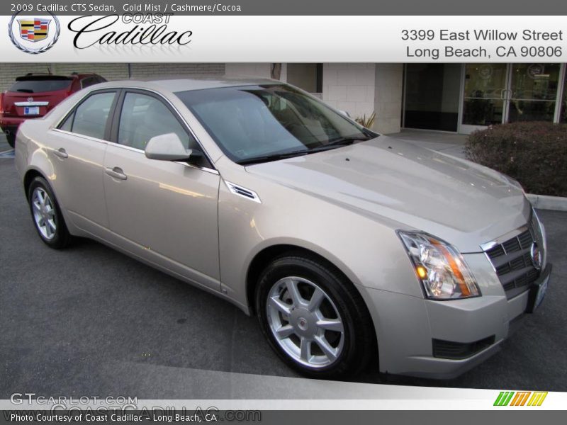 Gold Mist / Cashmere/Cocoa 2009 Cadillac CTS Sedan