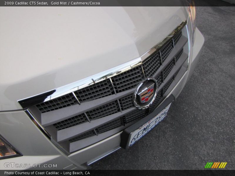 Gold Mist / Cashmere/Cocoa 2009 Cadillac CTS Sedan
