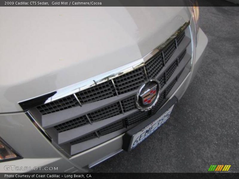 Gold Mist / Cashmere/Cocoa 2009 Cadillac CTS Sedan