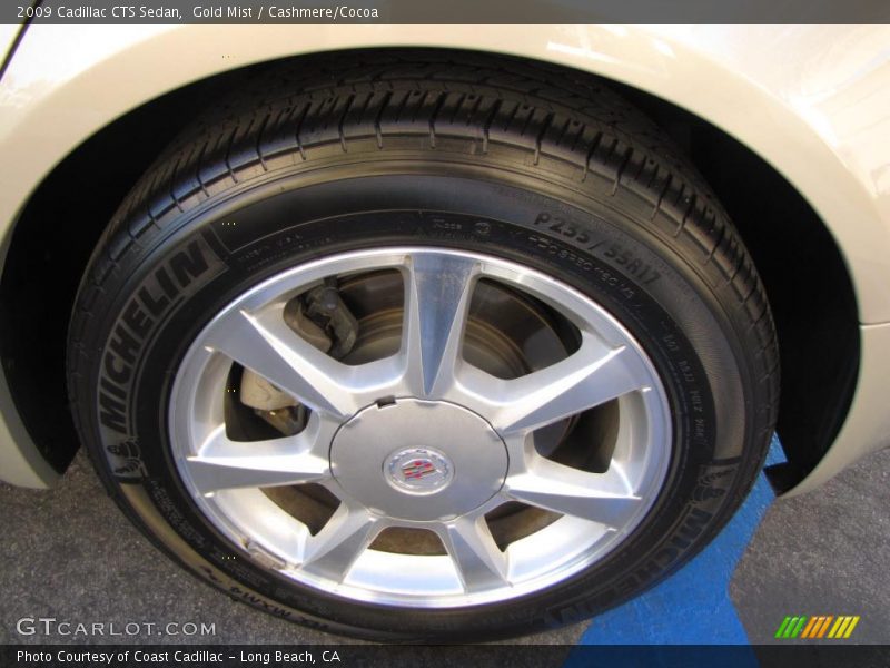 Gold Mist / Cashmere/Cocoa 2009 Cadillac CTS Sedan