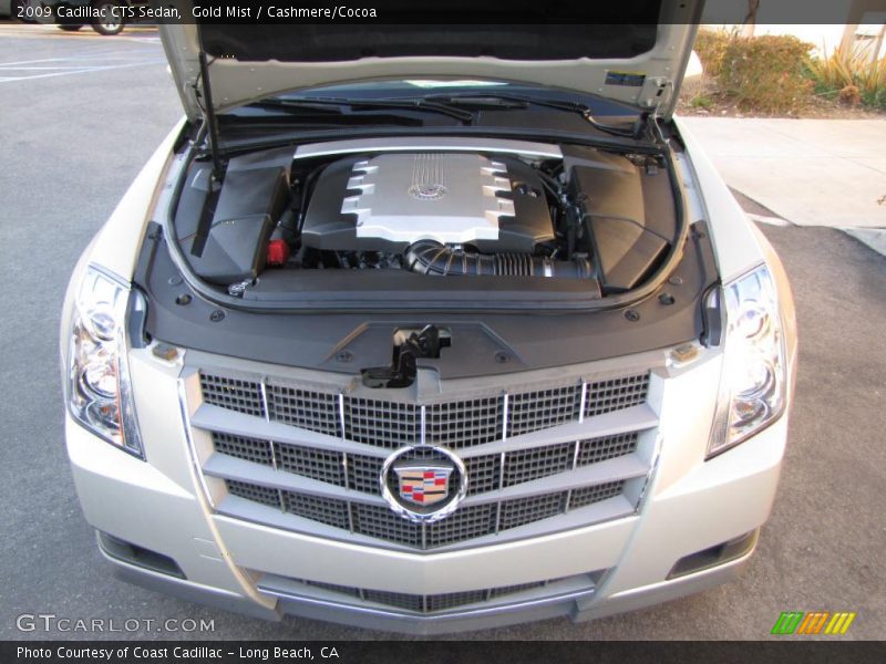 Gold Mist / Cashmere/Cocoa 2009 Cadillac CTS Sedan