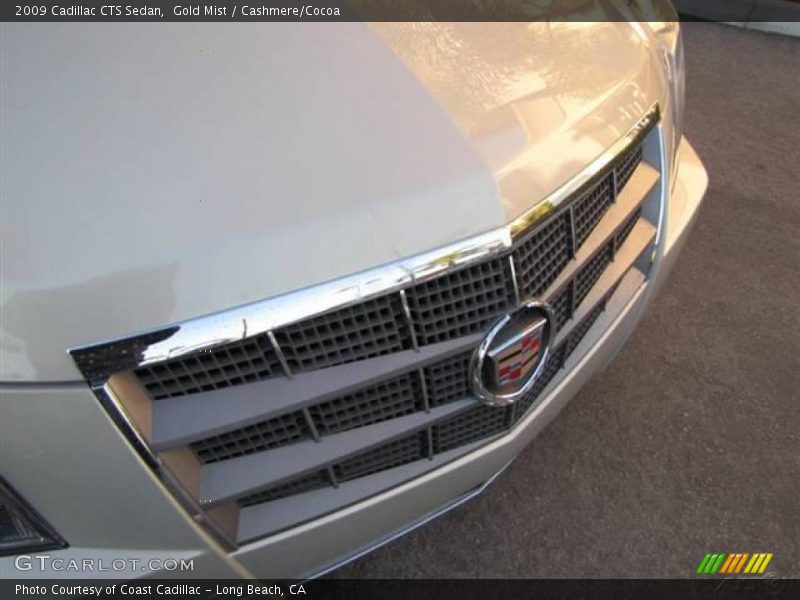 Gold Mist / Cashmere/Cocoa 2009 Cadillac CTS Sedan