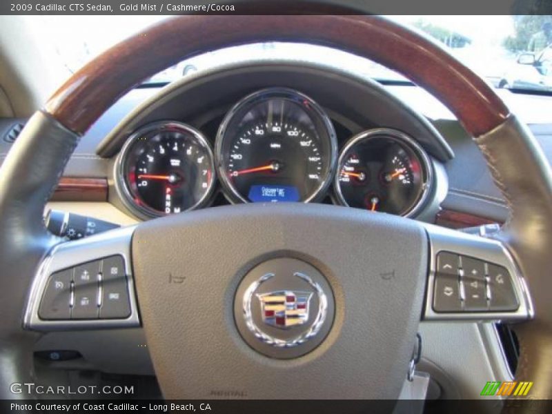 Gold Mist / Cashmere/Cocoa 2009 Cadillac CTS Sedan