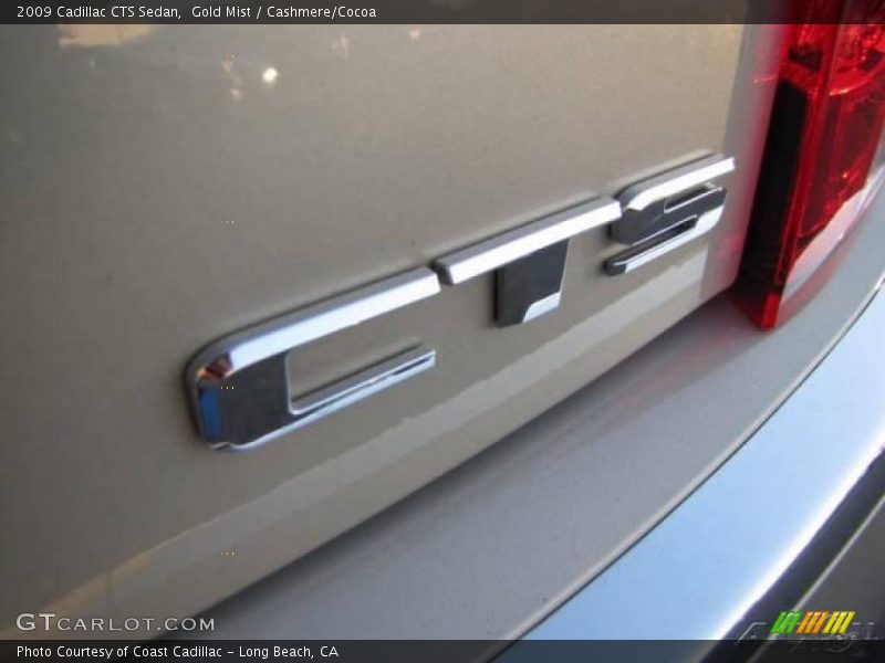 Gold Mist / Cashmere/Cocoa 2009 Cadillac CTS Sedan