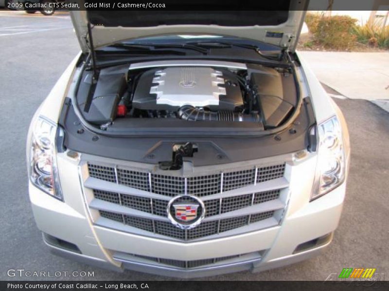 Gold Mist / Cashmere/Cocoa 2009 Cadillac CTS Sedan