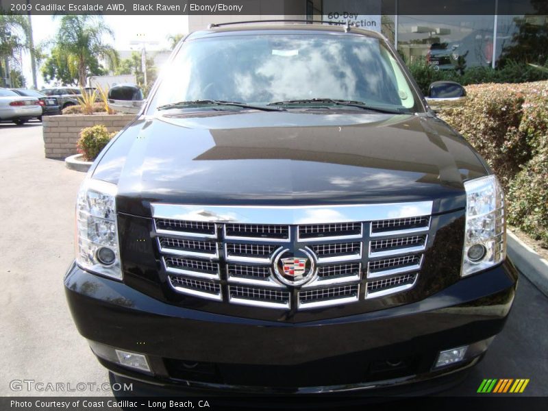 Black Raven / Ebony/Ebony 2009 Cadillac Escalade AWD