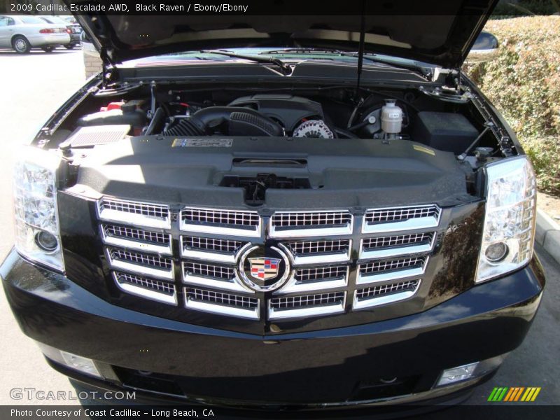 Black Raven / Ebony/Ebony 2009 Cadillac Escalade AWD