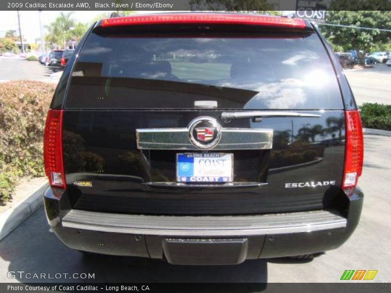 Black Raven / Ebony/Ebony 2009 Cadillac Escalade AWD