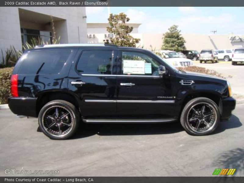 Black Raven / Ebony/Ebony 2009 Cadillac Escalade AWD