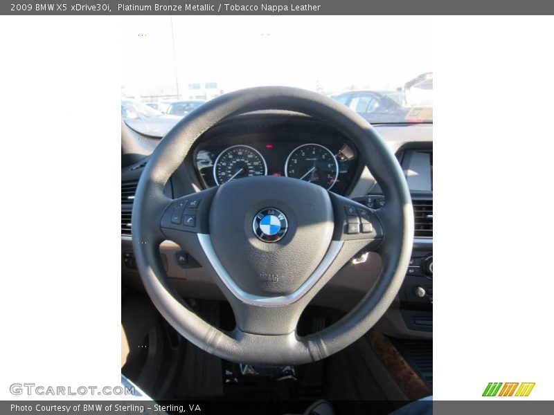 Platinum Bronze Metallic / Tobacco Nappa Leather 2009 BMW X5 xDrive30i