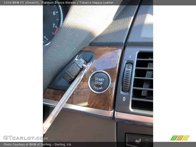 Platinum Bronze Metallic / Tobacco Nappa Leather 2009 BMW X5 xDrive30i