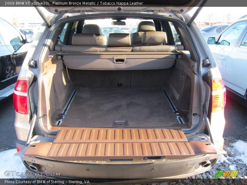 Platinum Bronze Metallic / Tobacco Nappa Leather 2009 BMW X5 xDrive30i