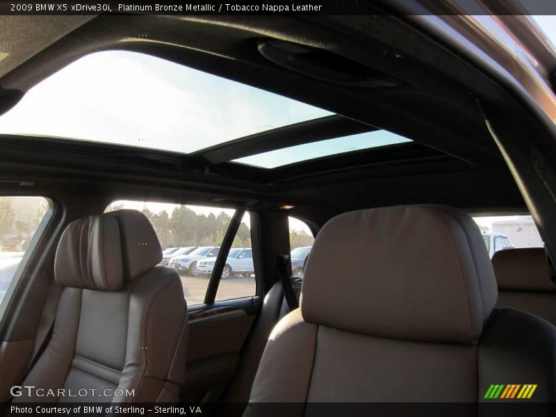 Platinum Bronze Metallic / Tobacco Nappa Leather 2009 BMW X5 xDrive30i