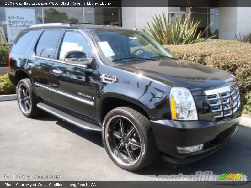 Black Raven / Ebony/Ebony 2009 Cadillac Escalade AWD