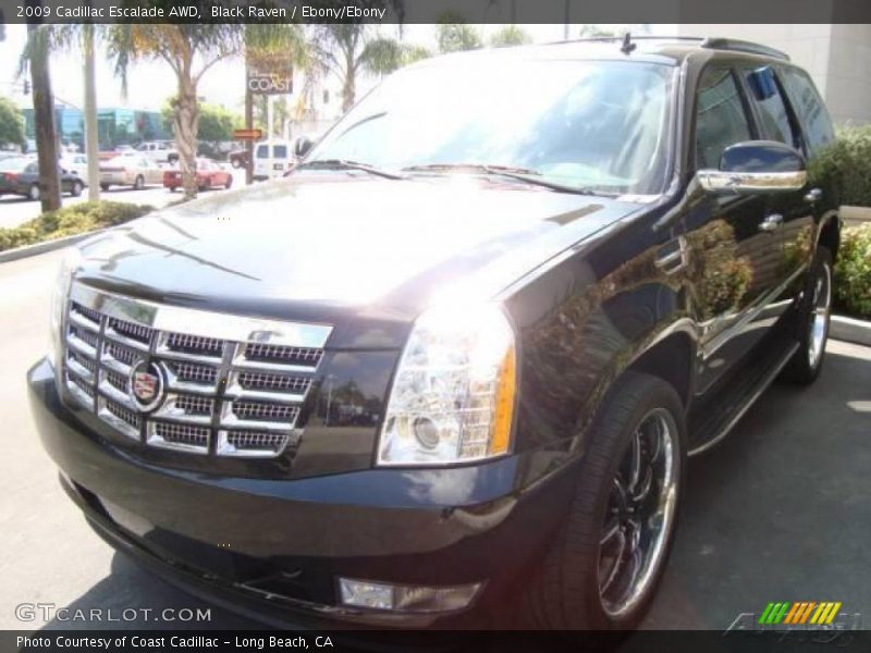 Black Raven / Ebony/Ebony 2009 Cadillac Escalade AWD