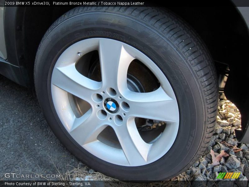Platinum Bronze Metallic / Tobacco Nappa Leather 2009 BMW X5 xDrive30i