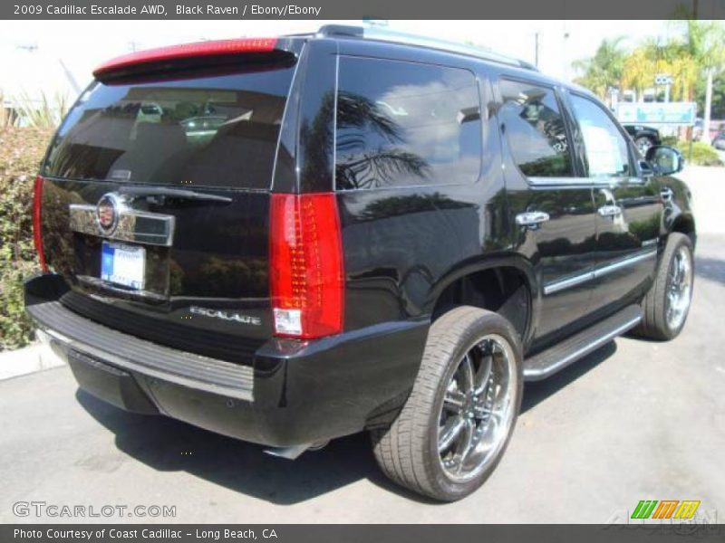 Black Raven / Ebony/Ebony 2009 Cadillac Escalade AWD