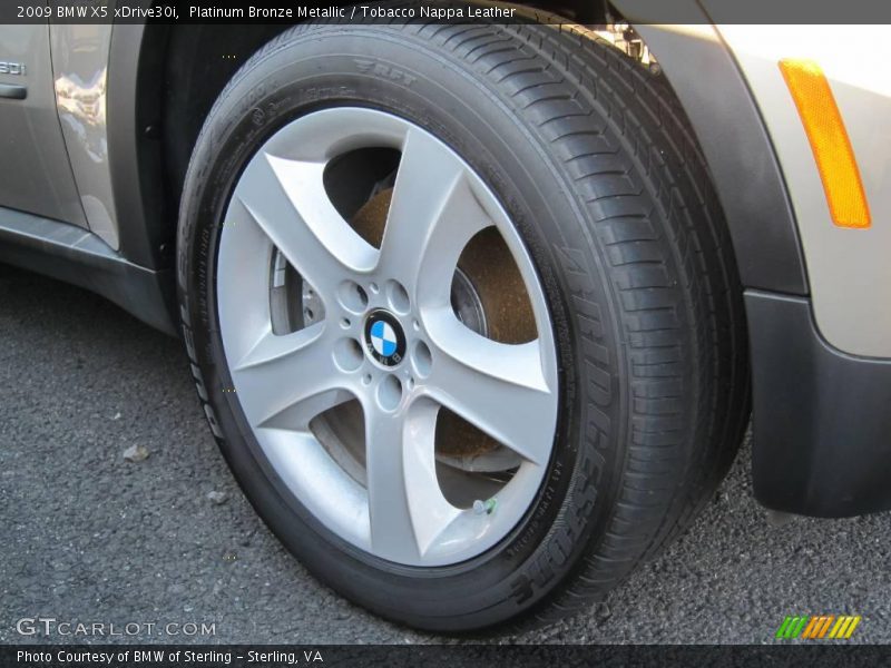 Platinum Bronze Metallic / Tobacco Nappa Leather 2009 BMW X5 xDrive30i