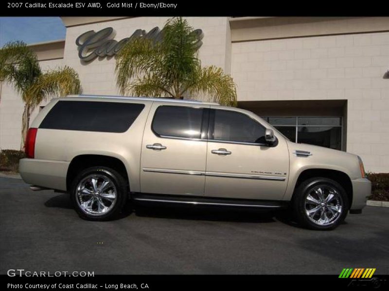 Gold Mist / Ebony/Ebony 2007 Cadillac Escalade ESV AWD