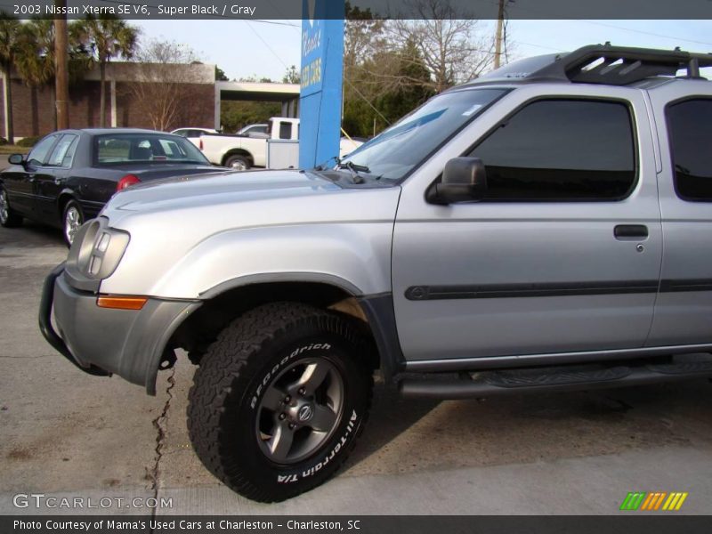 Super Black / Gray 2003 Nissan Xterra SE V6