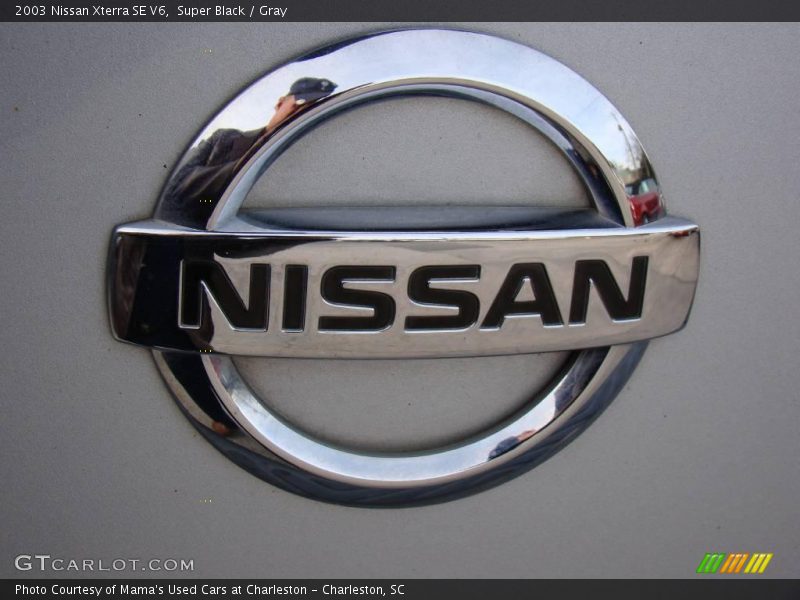 Super Black / Gray 2003 Nissan Xterra SE V6