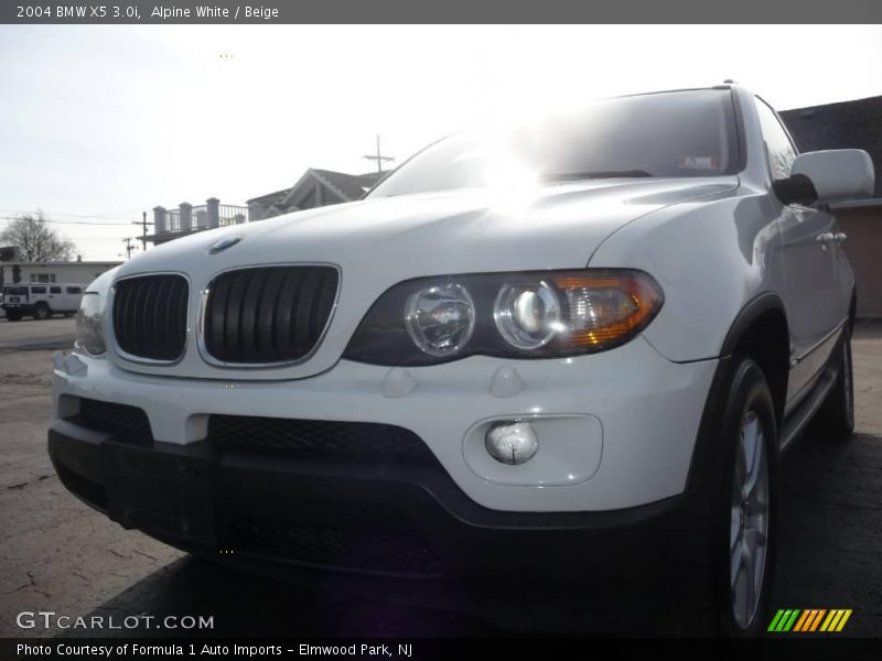 Alpine White / Beige 2004 BMW X5 3.0i
