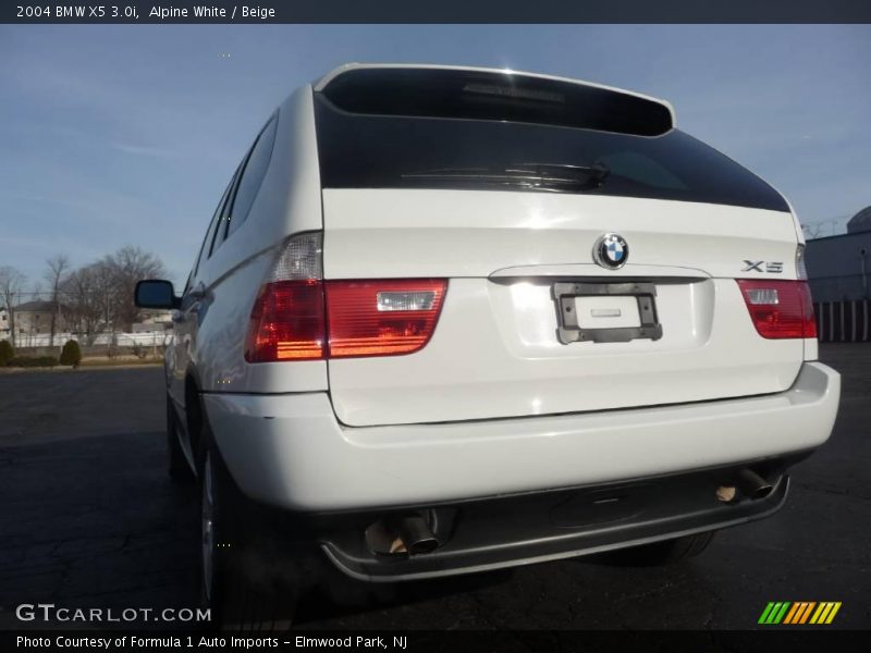 Alpine White / Beige 2004 BMW X5 3.0i