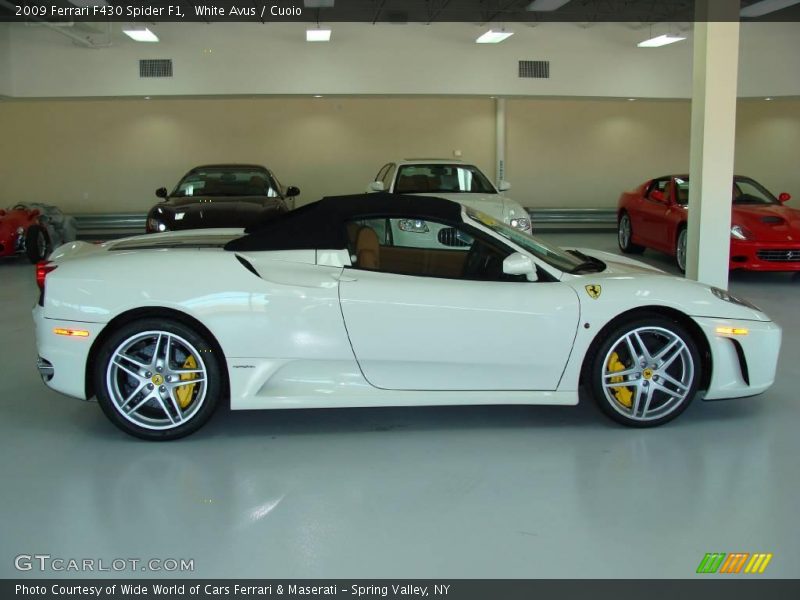 White Avus / Cuoio 2009 Ferrari F430 Spider F1