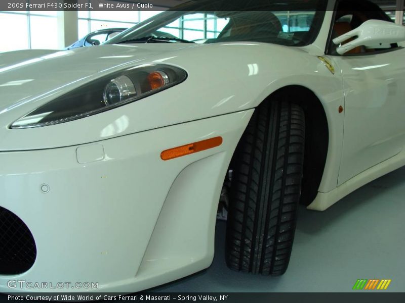 White Avus / Cuoio 2009 Ferrari F430 Spider F1