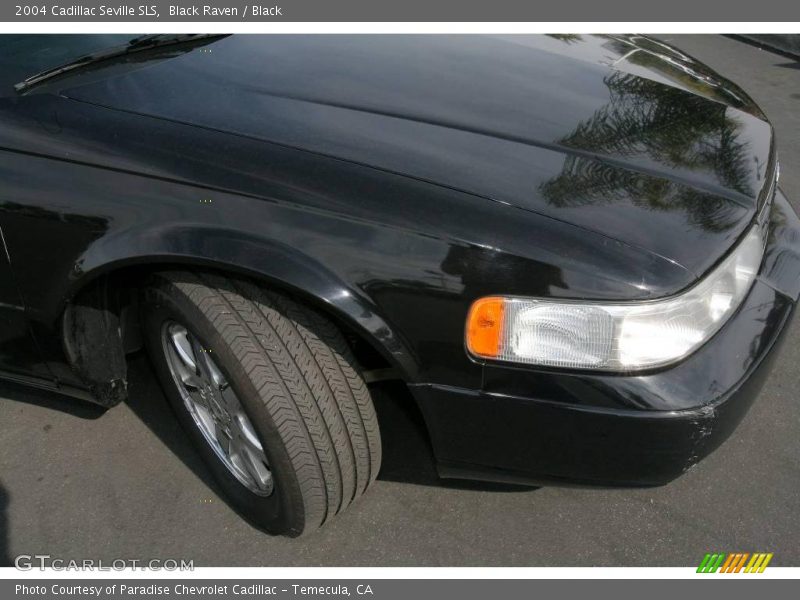 Black Raven / Black 2004 Cadillac Seville SLS