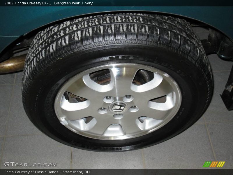 Evergreen Pearl / Ivory 2002 Honda Odyssey EX-L