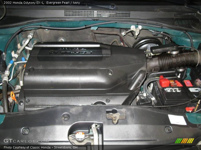 Evergreen Pearl / Ivory 2002 Honda Odyssey EX-L