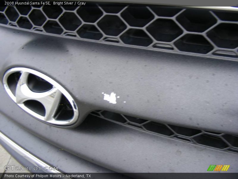 Bright Silver / Gray 2008 Hyundai Santa Fe SE