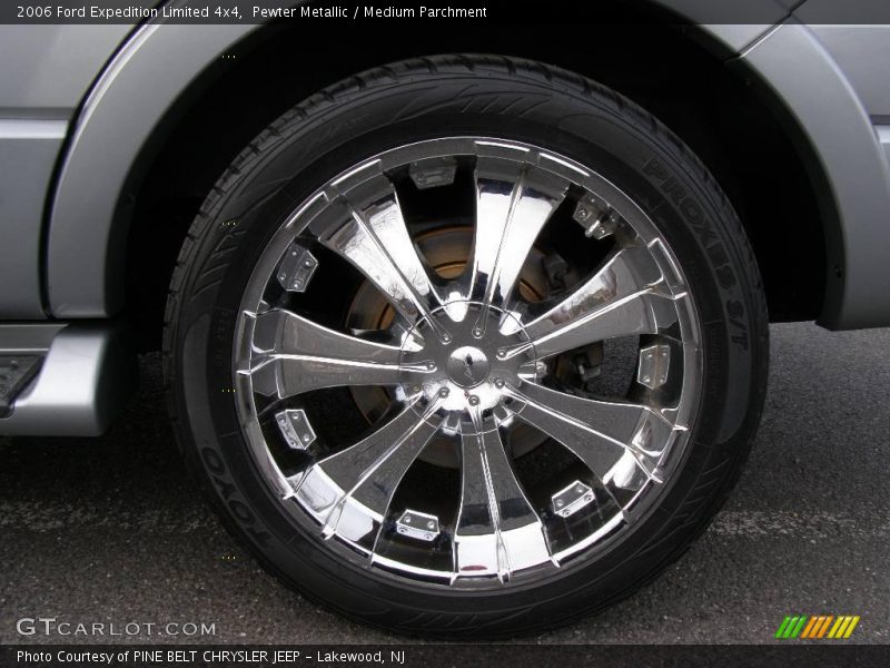 Pewter Metallic / Medium Parchment 2006 Ford Expedition Limited 4x4