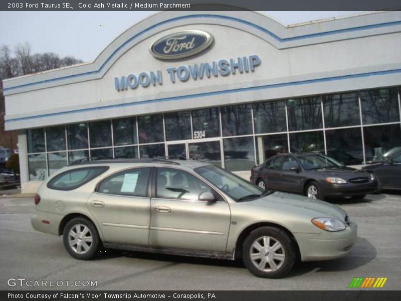 Gold Ash Metallic / Medium Parchment 2003 Ford Taurus SEL