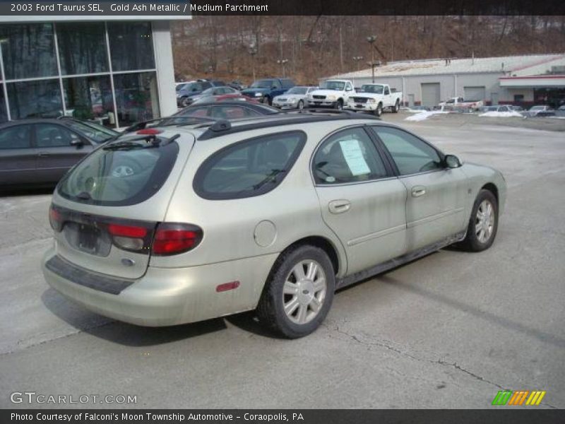 Gold Ash Metallic / Medium Parchment 2003 Ford Taurus SEL